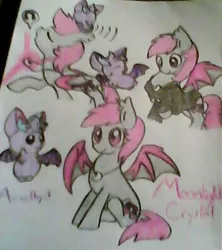 Size: 353x398 | Tagged: safe, artist:batponyoc, derpibooru import, oc, oc:amethyst, oc:moonlight crystal, unofficial characters only, bat, bat pony, fruit bat, pony, clothes, hoodie, necklace, solo, traditional art