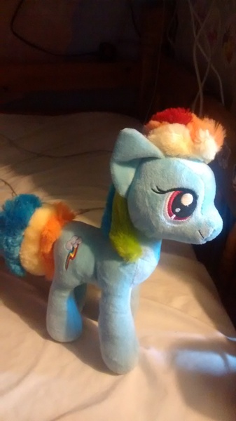 Size: 1456x2592 | Tagged: derpibooru import, irl, photo, plushie, rainbow dash, safe, solo, wingless