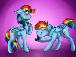 Size: 1600x1200 | Tagged: artist:artistcoolpony, dashblitz, derpibooru import, female, male, marriage proposal, rainbow blitz, rainbow dash, rule 63, safe, selfcest, self ponidox, shipping, straight