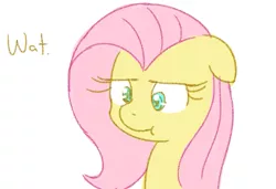 Size: 657x450 | Tagged: safe, artist:speccysy, derpibooru import, fluttershy, pegasus, pony, :t, bust, confluttershy, confused, female, floppy ears, fluttershy is not amused, frown, lidded eyes, mare, portrait, reaction image, simple background, solo, text, unamused, wat, white background