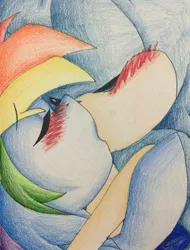 Size: 1024x1347 | Tagged: artist:aislynndavis, blushing, crossover, crossover shipping, derpibooru import, female, interspecies, kissing, male, rainbow dash, safe, shipping, sonicdash, sonic the hedgehog, sonic the hedgehog (series), straight, traditional art