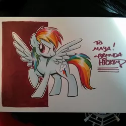 Size: 1080x1080 | Tagged: safe, artist:brendahickey, derpibooru import, rainbow dash, pegasus, pony, female, mare, marker drawing, solo, spread wings, traditional art