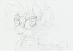 Size: 3507x2480 | Tagged: alternate hairstyle, artist:pumpkinkikile, chrysalis resistance timeline, derpibooru import, monochrome, safe, sketch, solo, the cutie re-mark, traditional art, zebra, zecora