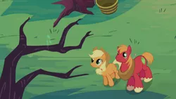 Size: 1366x768 | Tagged: safe, derpibooru import, screencap, applejack, big macintosh, earth pony, pony, family appreciation day, bare tree, looking up, male, spark, stallion, zap apple tree