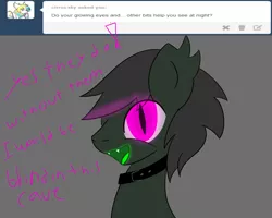 Size: 1280x1024 | Tagged: safe, artist:askhypnoswirl, derpibooru import, oc, oc:maraco arco, unofficial characters only, bat pony, pony, ask, collar, glow, glowing eyes, glowing tongue, tumblr