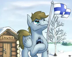 Size: 1280x1024 | Tagged: safe, artist:potes, derpibooru import, oc, oc:sketchy scribbles, unofficial characters only, pegasus, pony, alcohol, birch, finland, finnish independence day, flag, food, independence day, male, patriotic, proud, sauna, snow, stallion