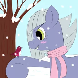 Size: 2000x2000 | Tagged: safe, artist:periodicbrony, derpibooru import, limestone pie, bird, earth pony, pony, 30 minute art challenge, blushing, clothes, cute, female, limabetes, mare, scarf, snow, snowfall, solo