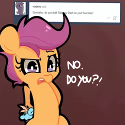 Size: 1280x1280 | Tagged: artist:turtlefarminguy, ask, derpibooru import, doll, plushie, rainbow dash, safe, scootaloo, scootaloo responds, seems legit, solo, toy, tumblr