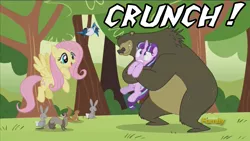 Size: 1280x720 | Tagged: semi-grimdark, derpibooru import, edit, screencap, fluttershy, harry, starlight glimmer, bird, blue jay, ferret, pony, rabbit, squirrel, the cutie re-mark, bear hug, crunch, flying, frown, gritted teeth, holding, holding a pony, hug, open mouth, ouch, pain, sickening crunch, smiling, sound effects, this will end in tears and/or death, wide eyes