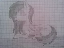 Size: 2560x1920 | Tagged: artist:snowy_sprinkles, derpibooru import, drawing, fanart, graph paper, monochrome, oc, safe, sketch, traditional art, unofficial characters only