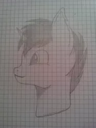 Size: 1920x2560 | Tagged: safe, artist:snowy_sprinkles, derpibooru import, oc, unofficial characters only, drawing, graph paper, solo, traditional art