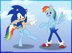Size: 1024x756 | Tagged: artist:foxbeast, body swap, crossover, derpibooru import, female to male, hybrid, partial body swap, part of a set, pony to anthro, rainbow dash, rule 63, safe, sega, simple background, sonic the hedgehog, sonic the hedgehog (series), transformation, transgender transformation, video game