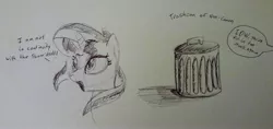 Size: 3951x1872 | Tagged: safe, artist:itsthinking, derpibooru import, idw, sunset shimmer, pony, canon, comic drama, drama, equestria girls drama, idw canon drama, monochrome, mouthpiece, traditional art, trash can