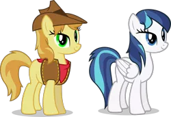 Size: 4999x3418 | Tagged: safe, artist:ladysugarsapphire, derpibooru import, oc, oc:sky scrapper, oc:wild west, unofficial characters only, pegasus, pony, offspring, parents:shiningdash, race swap, simple background, transparent background