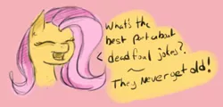 Size: 1619x775 | Tagged: artist needed, source needed, safe, derpibooru import, fluttershy, bad joke, bad joke face, dead baby joke, dialogue, implied grimdark, joke, solo