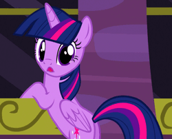 Size: 418x338 | Tagged: safe, derpibooru import, screencap, twilight sparkle, twilight sparkle (alicorn), alicorn, pony, amending fences, animated, female, frown, leaning, looking at you, looking back, mare, solo, talking