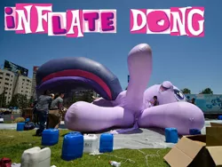 Size: 798x600 | Tagged: suggestive, derpibooru import, twilight sparkle, twilight sparkle (alicorn), alicorn, pony, balloon, chile, expand dong, exploitable meme, female, inflating, irl, mare, meme, out of context, parade, parade balloon, photo