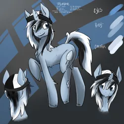 Size: 3000x3000 | Tagged: safe, artist:cymek, derpibooru import, oc, oc:taylorpone, unofficial characters only, pony, unicorn, male, reference sheet, solo