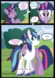 Size: 960x1358 | Tagged: safe, artist:paperlover, derpibooru import, shining armor, twilight sparkle, twilight sparkle (alicorn), alicorn, pony, comic:your best friend and best lover, brother and sister, female, incest, infidelity, male, mare, shiningsparkle, shipping, siblings, straight