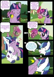 Size: 960x1360 | Tagged: safe, artist:paperlover, derpibooru import, shining armor, twilight sparkle, twilight sparkle (alicorn), alicorn, pony, comic:your best friend and best lover, brother and sister, female, hug, incest, infidelity, male, mare, shiningsparkle, shipping, siblings, straight