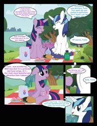 Size: 960x1235 | Tagged: safe, artist:paperlover, derpibooru import, shining armor, twilight sparkle, twilight sparkle (alicorn), alicorn, pony, comic:your best friend and best lover, brother and sister, female, incest, infidelity, male, mare, shiningsparkle, shipping, siblings, straight