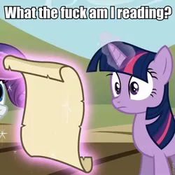 Size: 720x720 | Tagged: safe, derpibooru import, edit, edited screencap, screencap, rarity, twilight sparkle, unicorn, the return of harmony, female, glowing horn, image macro, magic, mare, meme, reaction image, scroll, telekinesis, vulgar, what the fuck am i reading