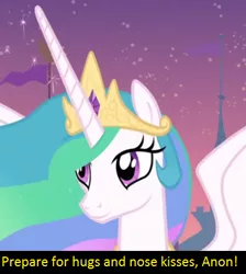 Size: 383x427 | Tagged: safe, derpibooru import, edit, edited screencap, screencap, princess celestia, oc, oc:anon, alicorn, pony, a canterlot wedding, bronybait, cropped, cute, cutelestia, female, hugs needed, image macro, implied anon, mare, meme, meta, nose kiss, solo