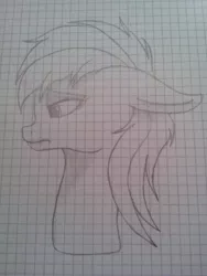 Size: 1920x2560 | Tagged: safe, artist:snowy_sprinkles, derpibooru import, oc, unofficial characters only, drawing, fanart, graph paper, sketch, traditional art