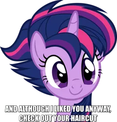Size: 769x800 | Tagged: safe, artist:dashiesparkle, derpibooru import, twilight sparkle, twilight sparkle (alicorn), alicorn, pony, alternate hairstyle, bust, female, image macro, lyrics, mare, meme, punklight sparkle, simple background, smiling, solo, song reference, they might be giants, transparent background, vector