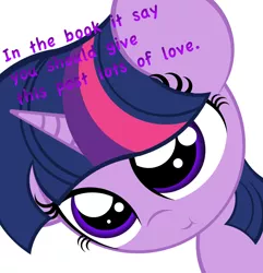 Size: 3409x3529 | Tagged: safe, artist:askshalua, derpibooru import, twilight sparkle, engrish, solo, upvote bait