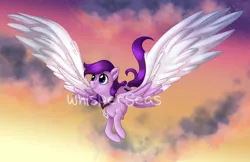 Size: 1600x1036 | Tagged: safe, artist:whisperseas, derpibooru import, oc, unofficial characters only, pegasus, pony, necklace, solo, watermark
