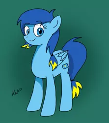 Size: 631x709 | Tagged: artist:hetalianderpy, derpibooru import, kazakhstan, nation ponies, ponified, safe, solo