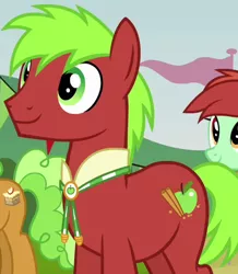 Size: 400x459 | Tagged: safe, derpibooru import, screencap, apple brown betty, apple cinnamon, candy apples, earth pony, pony, apple family reunion, apple family member, background pony, bolo tie, cropped, male, solo focus, stallion