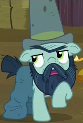 Size: 666x990 | Tagged: safe, derpibooru import, screencap, big daddy mccolt, earth pony, pony, the hooffields and mccolts, beard, clothes, cropped, facial hair, hat, male, mccolt family, moustache, raised hoof, solo, stallion
