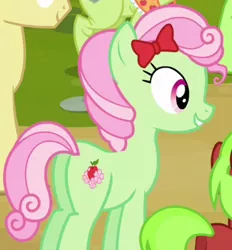 Size: 303x326 | Tagged: safe, derpibooru import, screencap, auntie applesauce, florina tart, granny smith, red june, earth pony, pony, apple family reunion, apple family member, background pony, bow, cropped, female, hair bow, mare, plot, solo focus
