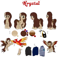 Size: 908x879 | Tagged: safe, artist:karmadash, derpibooru import, oc, oc:krystal feathers, unofficial characters only, bird, classical hippogriff, hippogriff, pegasus, pony, clothes, pet, pet oc, reference sheet, solo
