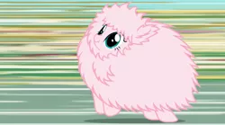 Size: 1872x1044 | Tagged: blurred background, derpibooru import, fast, fluffle puff tales, funny, khuppkheighckes, nose wrinkle, oc, oc:fluffle puff, running, safe, scrunchy face, speed lines, unofficial characters only