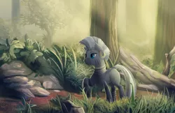 Size: 2000x1294 | Tagged: safe, artist:viwrastupr, derpibooru import, zecora, zebra, crepuscular rays, female, forest, mare, quadrupedal, raised hoof, solo