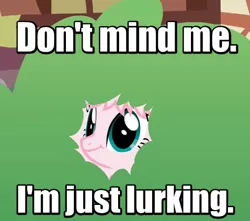 Size: 508x450 | Tagged: artist:mixermike622, bush, derpibooru import, image macro, khuppkheighckes, lurking, meme, not creepy, oc, oc:fluffle puff, reaction image, safe, smiling, solo, unofficial characters only