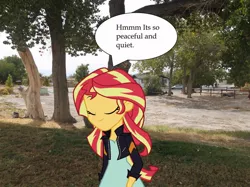 Size: 900x672 | Tagged: safe, artist:trainman3985, derpibooru import, sunset shimmer, human, equestria girls, car, dialogue, equestria girls in real life, eyes closed, irl, photo, smiling, tree, vector