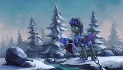 Size: 1920x1098 | Tagged: safe, artist:asimos, derpibooru import, oc, oc:au hasard, unofficial characters only, bat pony, pony, armor, fir tree, forest, helmet, night guard, royal guard, scenery, snow, solo, tree, winter