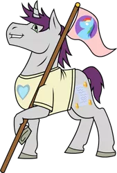 Size: 583x860 | Tagged: source needed, useless source url, safe, artist:philosophypony, derpibooru import, rainbow dash, written script, pony, unicorn, brony, brony pride, clothes, cutie mark, fan, flag, shipping, shirt, solo, writtendash