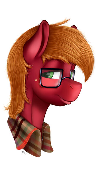 Size: 1024x1883 | Tagged: safe, artist:saddnesspony, derpibooru import, big macintosh, earth pony, pony, glasses, male, solo, stallion