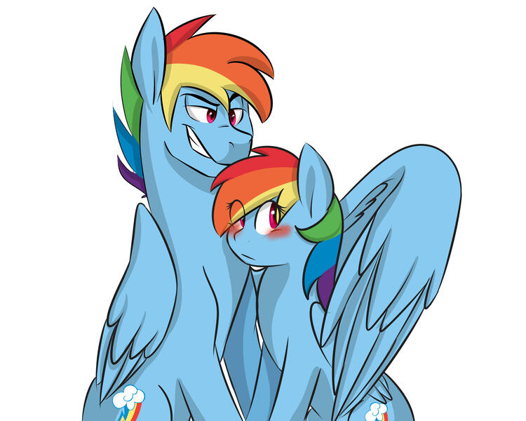 Size: 3000x2400 | Tagged: artist:chub-wub, blushing, dashblitz, derpibooru import, female, hug, male, rainbow blitz, rainbow dash, rule 63, safe, selfcest, self ponidox, shipping, straight, winghug