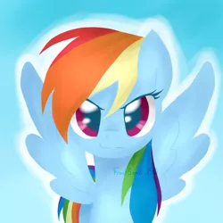 Size: 1000x1000 | Tagged: safe, artist:frostsentry150, derpibooru import, part of a set, rainbow dash, looking at you, simple background, solo