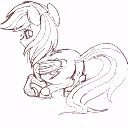 Size: 486x484 | Tagged: artist:yoditax, derpibooru import, looking at you, looking back, monochrome, plot, rainbow dash, rainbutt dash, safe, sketch, solo