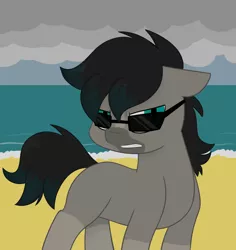 Size: 1280x1356 | Tagged: safe, artist:estrill, derpibooru import, oc, oc:viridian, unofficial characters only, beach, cloud, solo, sunglasses