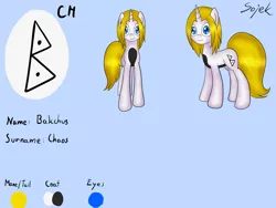 Size: 2000x1500 | Tagged: safe, artist:sojek, derpibooru import, oc, oc:bakchus, unofficial characters only, pony, unicorn, color, colored, explicit source, reference sheet