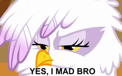 Size: 1283x798 | Tagged: safe, derpibooru import, edit, edited screencap, screencap, gilda, gryphon, griffon the brush off, season 1, angry, feather, fluffy, image macro, meme, reaction image, solo, u mad