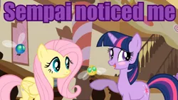 Size: 640x360 | Tagged: derpibooru import, fluttershy, image macro, meme, parasprite, purple text, safe, screencap, senpai, senpai noticed me, twilight sparkle